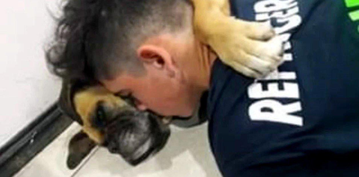 Perrito muere en brazos de su dueña a causa de la pirotecnia