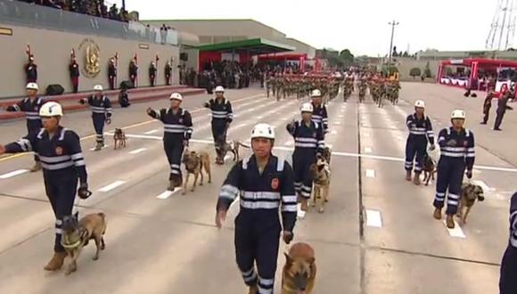 Canes de la Brigada Multipropósito del Ejército que son preparados para la búsqueda y rescate de personas participaron del desfile militar. (Captura: América Noticias)