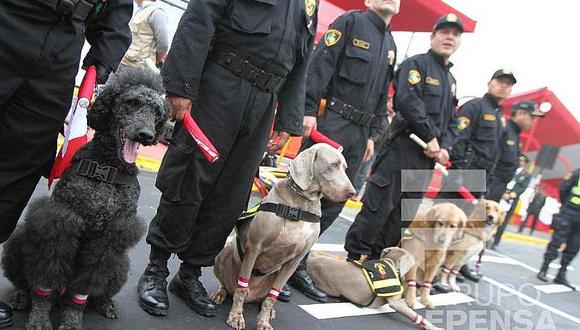 ​Fiestas Patrias: Policía Canina será uno de los atractivos en desfile cívico militar