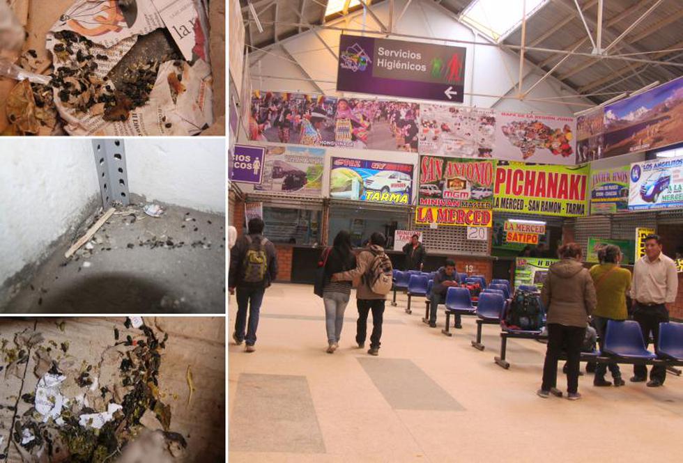 Roedores invaden terminal terrestre Los Andes (FOTOS)