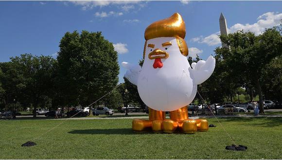 Donald Trump: gallina con la cara del presidente apareció en la Casa Blanca (FOTOS)