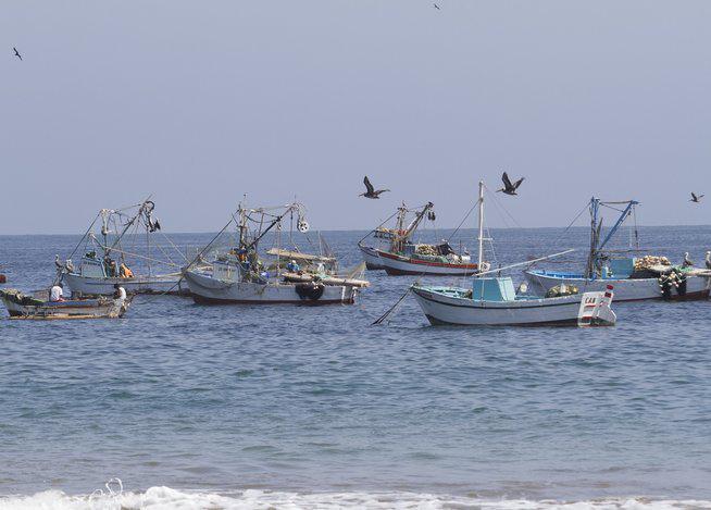 Naves pesqueras se aventuran a zona de mar recuperado
