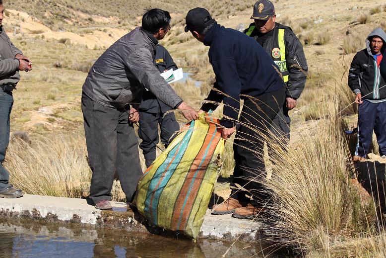 Mujer descuartizada era menor de 20 años 