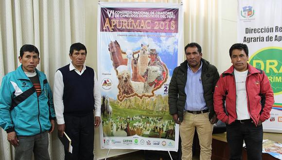 Apurímac será sede de VI Congreso Nacional de Criadores de Camélidos del Perú