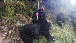 Puno: inician investigación por caza ilegal de oso de anteojos
