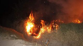 Nasca: incendio forestal en Vista Alegre