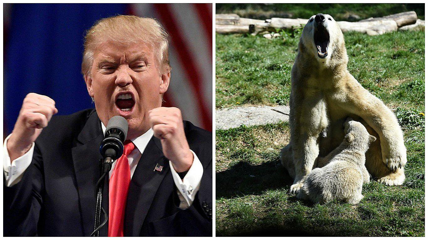 Donald Trump retira a EE.UU. de Acuerdo climático de París y sugiere nueva negociación