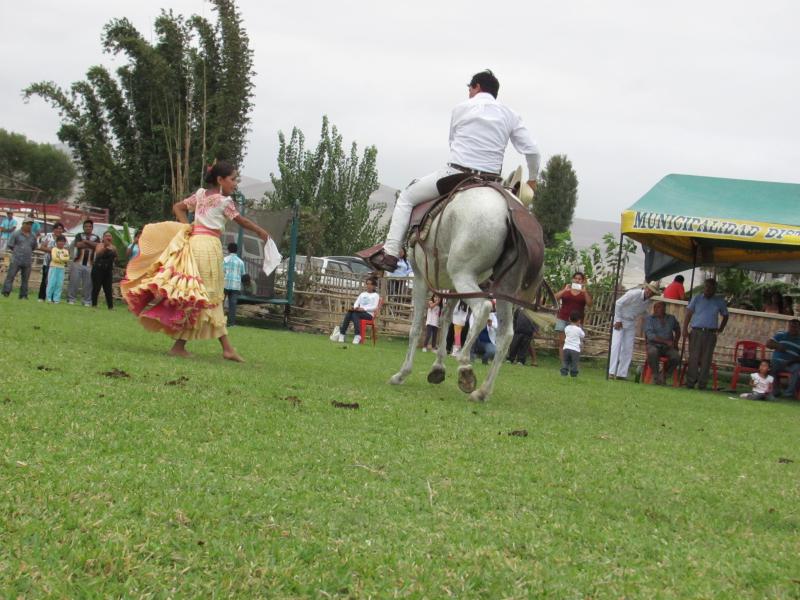 La cuna del caballo de paso