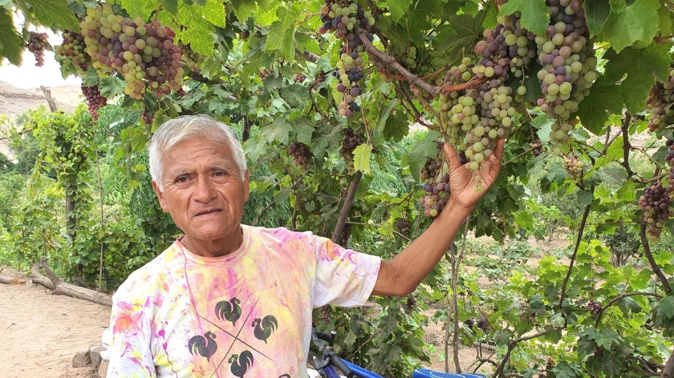 'Manolo' mostrando el fruto que le brinda la generosa tierra en Cerro Azul.