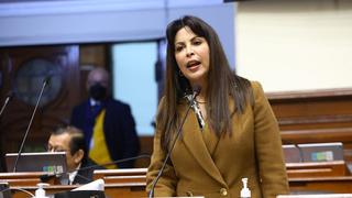 Patricia Chirinos tuvo cruce de palabras durante debate en el Congreso: “Terroristas”