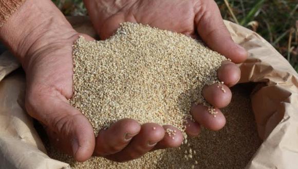 Récord Guinness: Perú preparará ensalada de quinua de 600 kilos