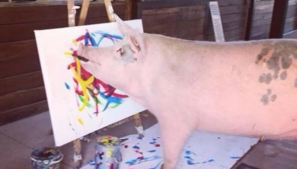 'Pigcasso', la cerdita que pinta y vende sus cuadros (FOTOS Y VIDEOS)