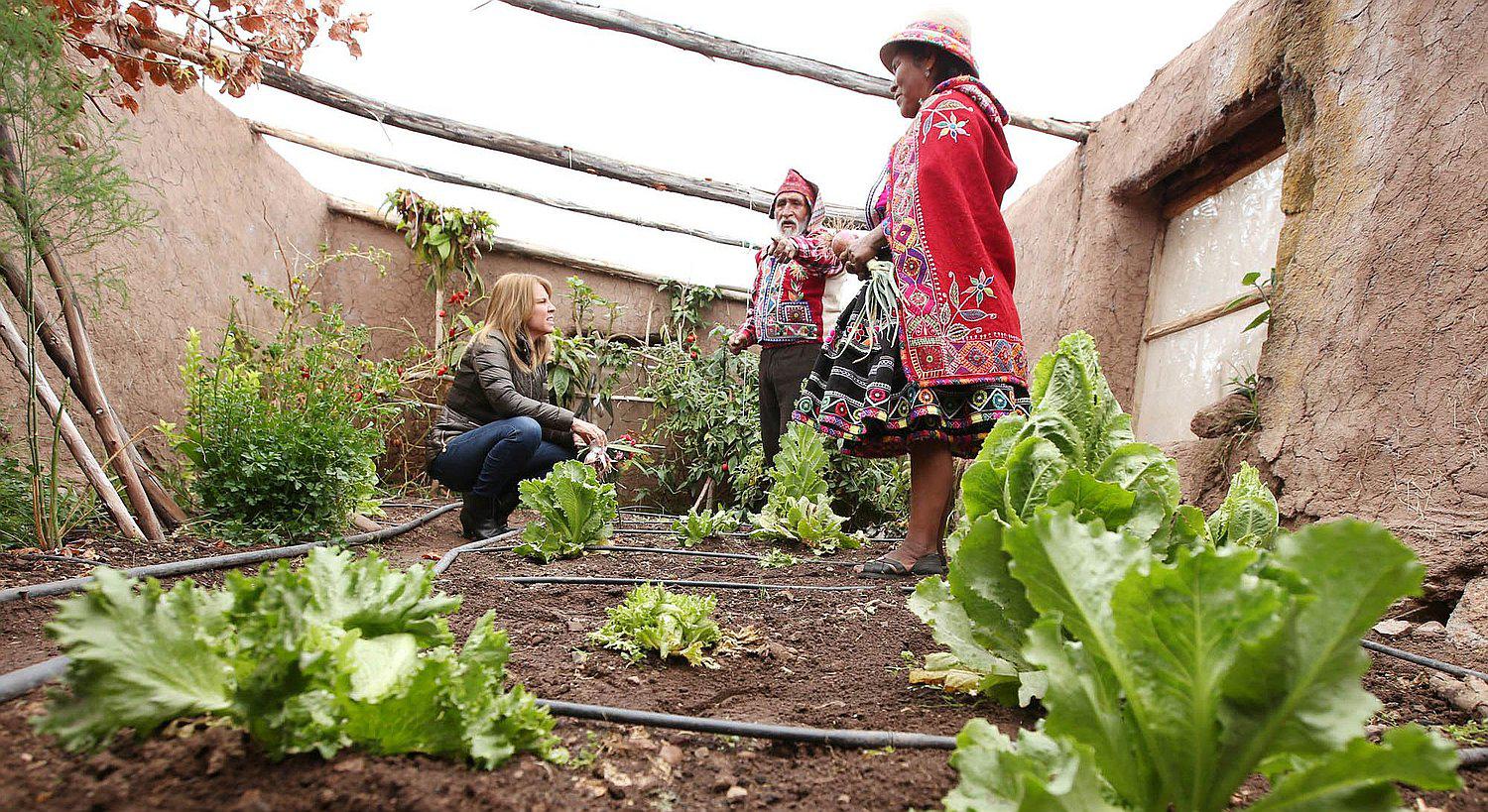 ​Comunidades campesinas de Cusco comparten sus experiencias productivas