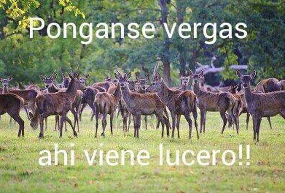 Con memes critican a Lucero por tomarse fotos con un animal cazado