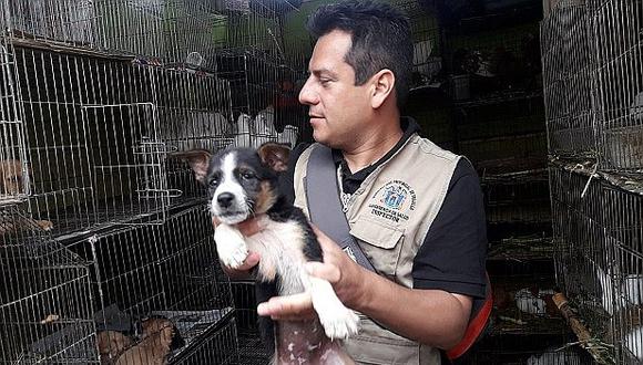 Rescatan 15 canes que eran vendidos ilegalmente en el ex-Mayorista 