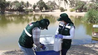 ​Continua monitero del agua en Huacachina