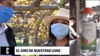 Peruanos dueños de viñedo aprovechan insumos del pisco para hacer alcohol medicinal frutado (VIDEO)