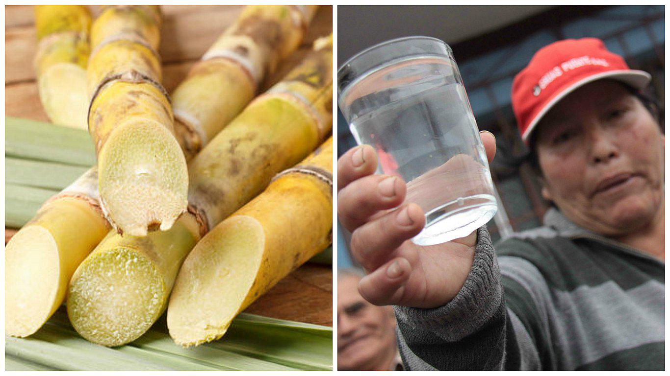Brasil: desarrollan purificador de agua y aire a partir de bagazo de caña 