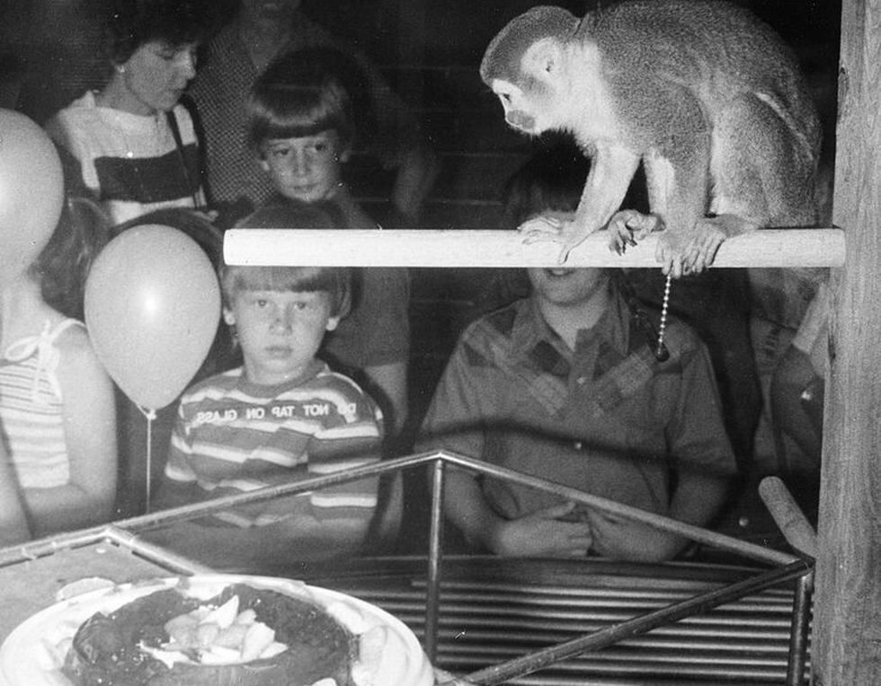 Miss Baker: ¿Sabías que el primer mono en el espacio fue peruano?