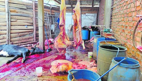 Falsifican los certificados de Senasa para introducir al mercado formal más de 500 kilos de carne de animales beneficiados en deplorables condiciones de salubridad.