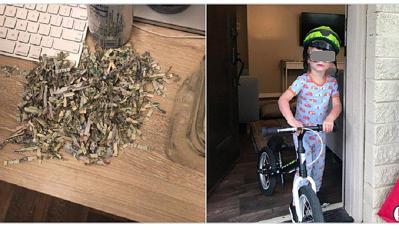 ​Niño de dos años tritura los ahorros de sus padres (FOTOS)