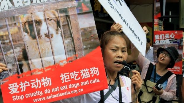 China: Activistas protestan por Festival de carne de perro que comienza hoy