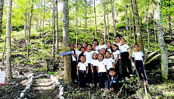 Colegios de UGEL Piura ganan concurso nacional de Logros Ambientales