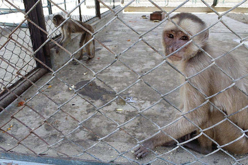 Impulsarán el parque Kurt Beer como recurso turístico de la región Piura