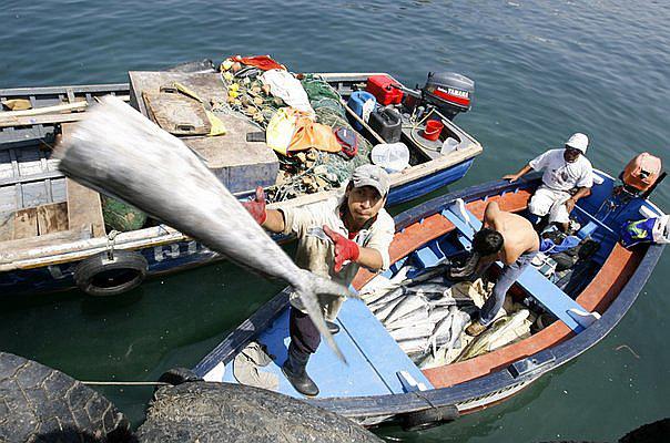 Drones y visores para combatir pesca ilegal