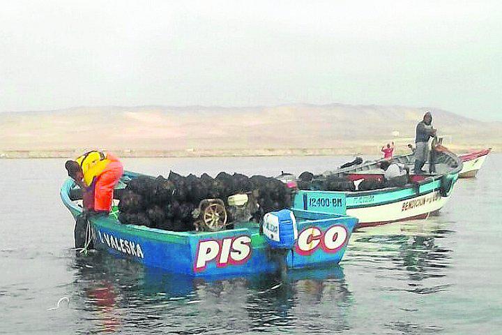 Pescadores artesanales de Pisco piden destitución del encargado de Sanipes