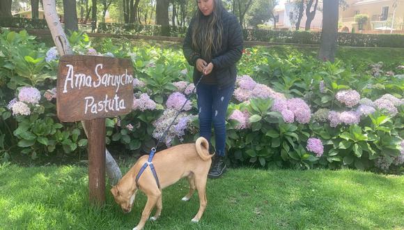 Realizan concurso de mascotas para promover la vacuna contra la rabia canina| Foto: Soledad Molares