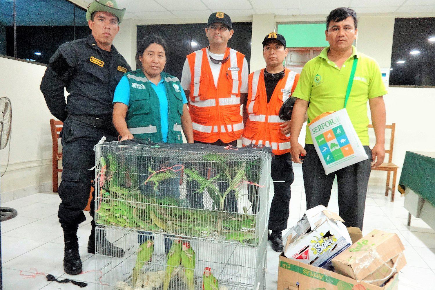 Piura es parte de la ruta de los traficantes de animales
