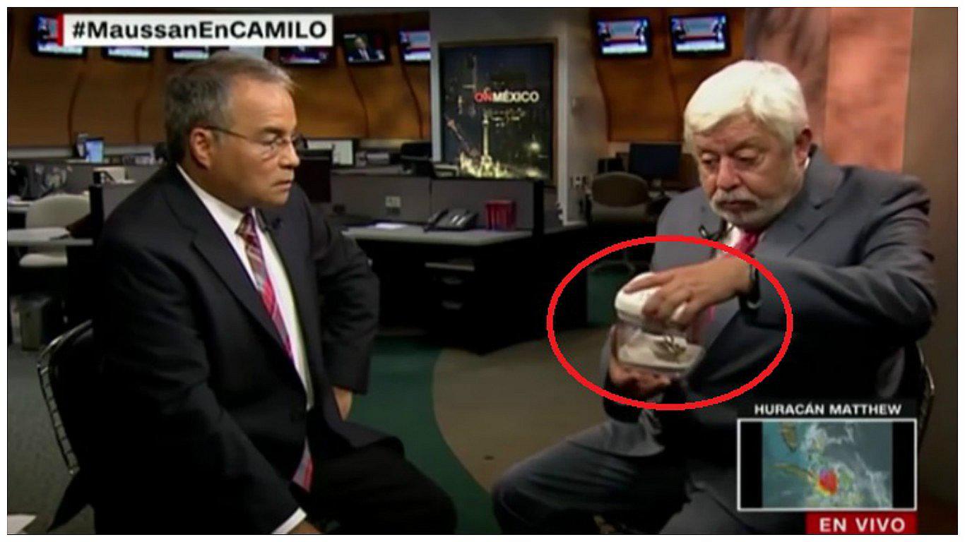 Viral de YouTube: ufólogo muestra "extraterrestre" petrificado (VIDEO)