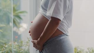 Embarazo y vacunación: ¿Qué vacunas deben tener las gestantes?