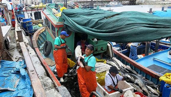 Pescadores capturan 150 toneladas de bonito en Ilo