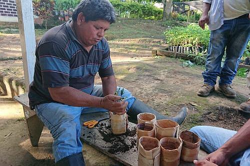 Peruanos crean bolsas a base de cáscara de plátano (FOTO)
