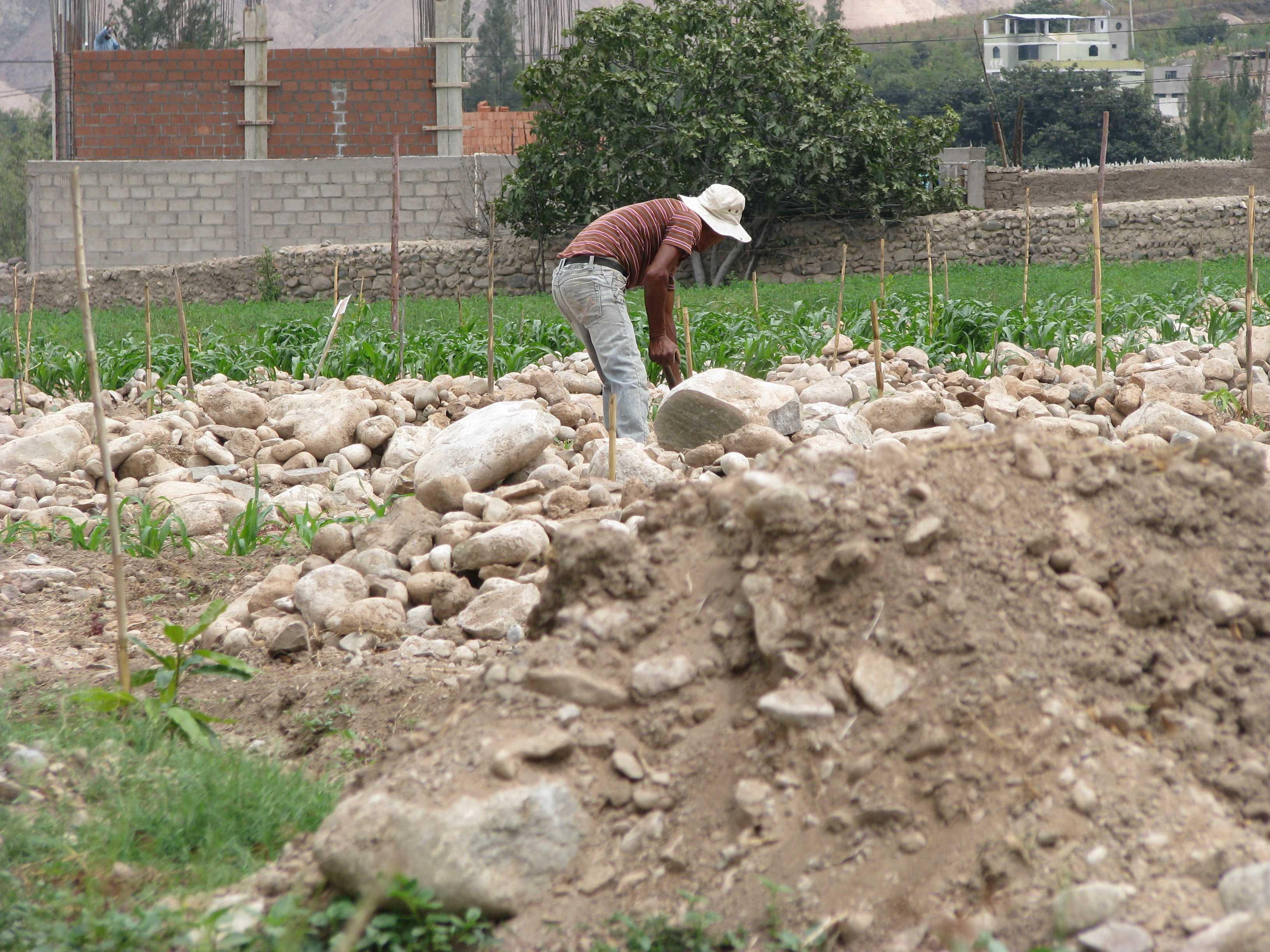 Moquegua: Senamhi pronostica incremento de temperaturas y déficit de lluvia