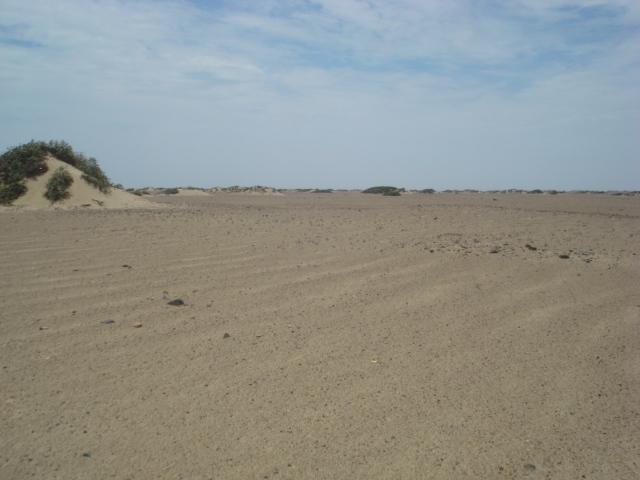 Promete irrigar las pampas de la Clemesí 
