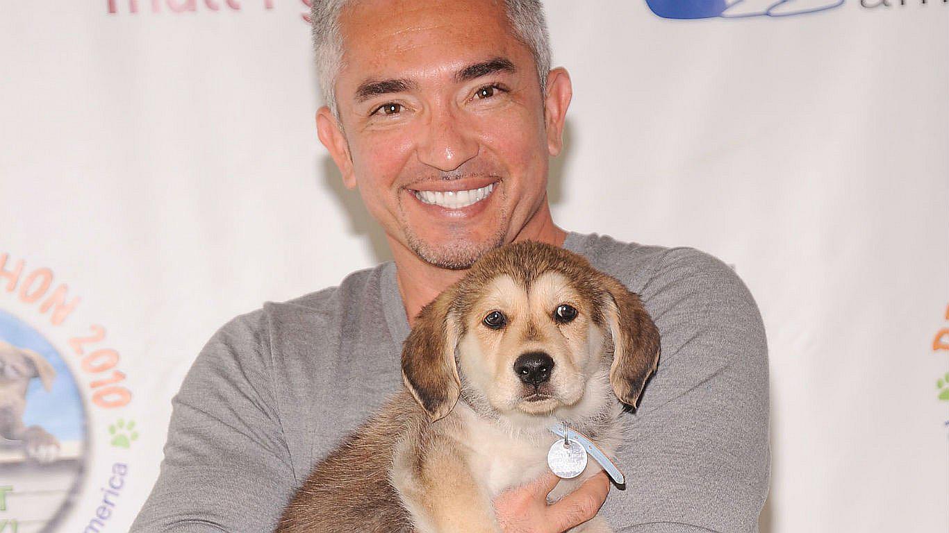 César Millán: "tratar al perro como un ser humano también es maltrato"