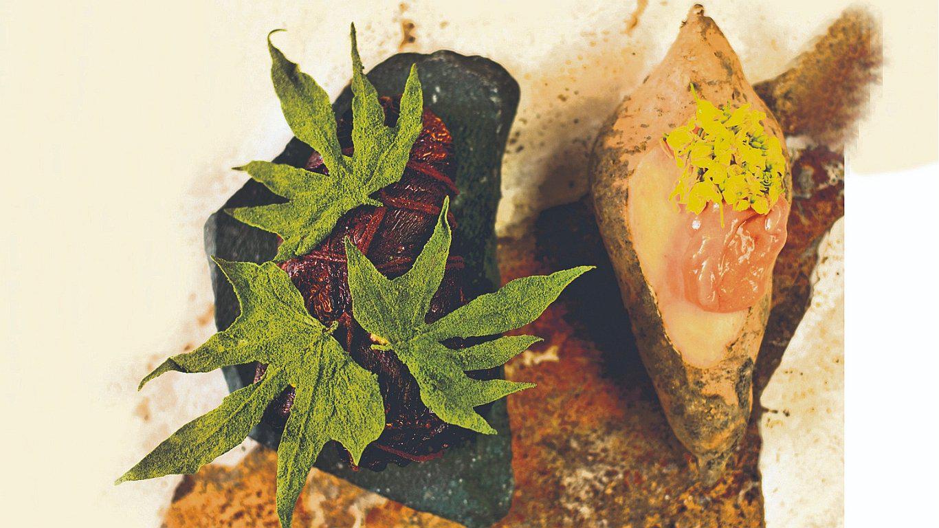 Camote por la lingüística