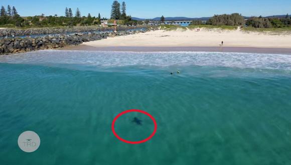 Dron capta a un tiburón blanco acechando a niños en playa de Australia (VIDEO)