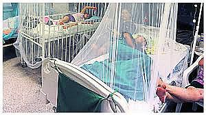 200 escolares y 15 profesores contrajeron el virus del dengue en Olmos