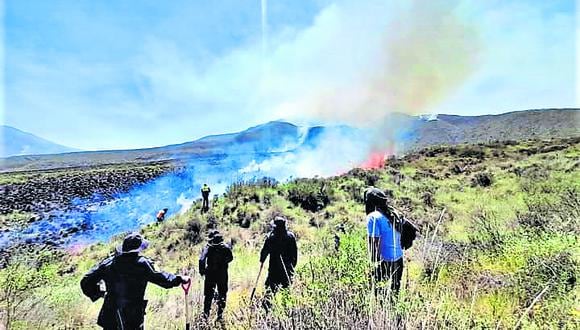 14 focos de calor acabaron con flora y fauna. Especies resultaron dañadas en  las faldas del volcán Misti por el más reciente incendio forestal. (Foto: GEC)
