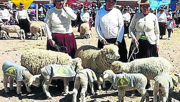 Huancané: concluye feria agroindustrial, ganadera y artesanal 