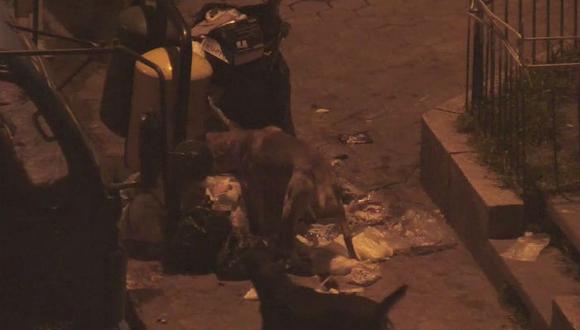 Vecinos arrojan basura en la Plaza de Yananaco