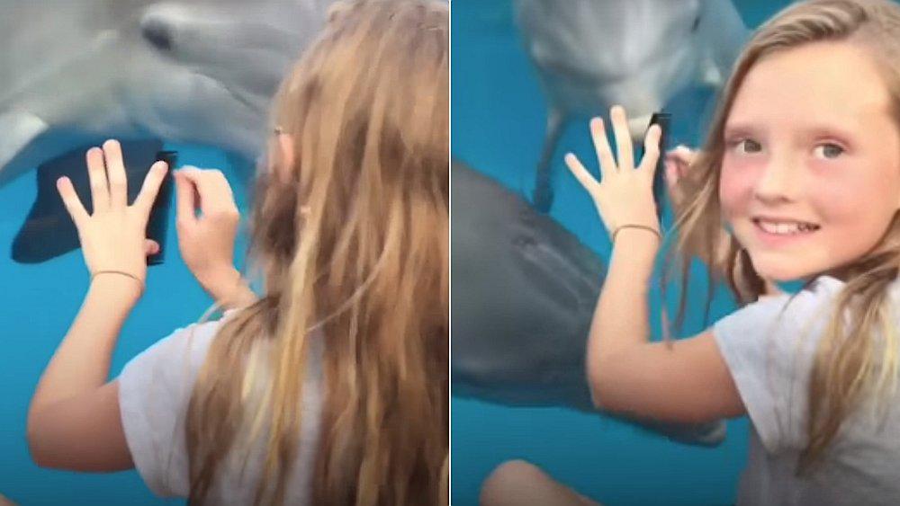 Niña sorprende con técnica para comunicarse con delfines (VIDEO)
