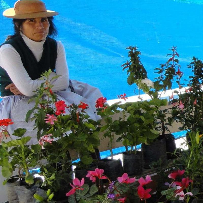 Productores de plantas y flores la rompen en festival