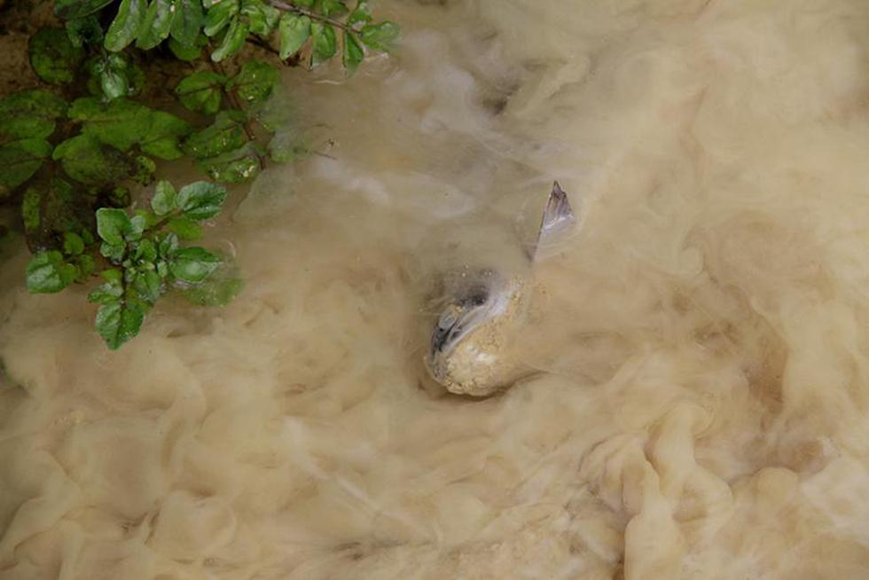 Derrame de cianuro en río Motil