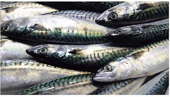 Consumo de pescados previenen derrames cerebrales, según especialista