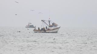 Ordenamiento permitirá mejorar labor de pescadores 